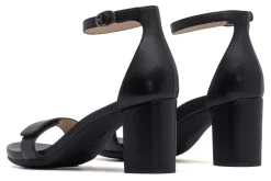 Women ABEO Standard|Education-Tempo Strap Metatarsal