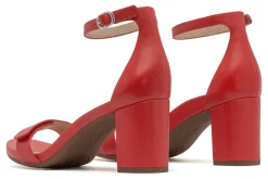 Women ABEO Standard|Education-Tempo Strap Metatarsal