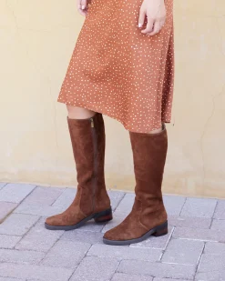 Women ABEO Standard|Service-Traverse Tall