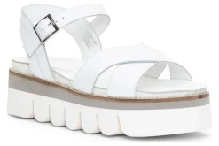 Women ara Standard|Sandals-Forest Hills