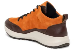 Women ara Standard|Boots-Highland