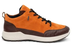 Women ara Standard|Boots-Highland