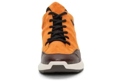 Women ara Standard|Boots-Highland