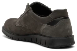 ara Medium|Active-Lowell