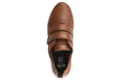 Women ara Standard|Active-Oakland