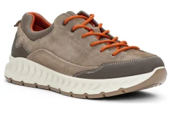 ara Medium|Active-Prague