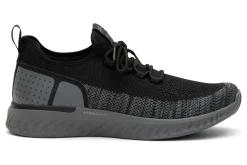 ara Medium|Active-Stephen