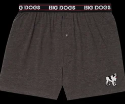 Big Dogs Medium-Classic Solid Logo Boxers