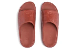 Women KLLY Standard|Active-Rover W