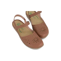 Women Naot Standard|Education-Arataki