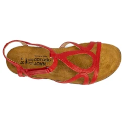 Women Naot Standard|Sandals-Dorith