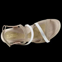 Women Naot Office|Sandals-Innovate