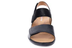 Women Revere Standard|Wide-Como