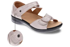 Women Revere Standard|Wide-Geneva