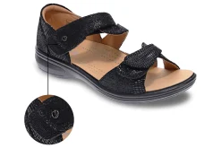 Women Revere Standard|Wide-Geneva