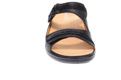 Women Revere Standard|Wide-Rio