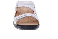 Women Revere Standard|Wide-Rio