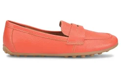 Women Sofft Standard|Education-Allie