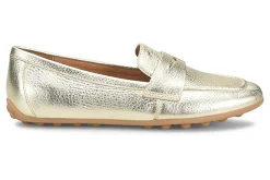 Women Sofft Education|Office-Allie