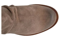 Women Sofft Standard|Education-Brookdale