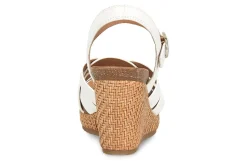 Women Sofft Office|Standard-Carlana