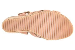 Women Sofft Office|Standard-Carlana