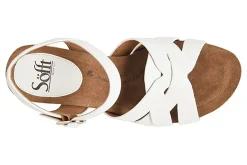 Women Sofft Office|Standard-Carlana