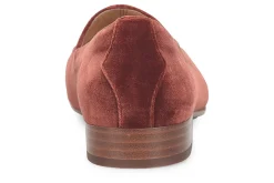 Women Sofft Standard|Education-Eldyn