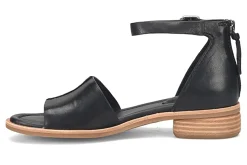 Women Sofft Standard|Office-Faxyn