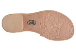 Women Sofft Standard|Office-Faxyn