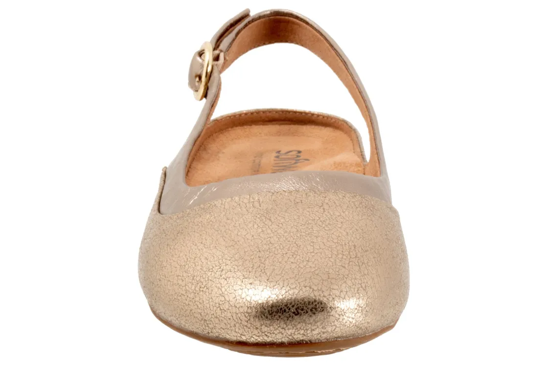 Women Softwalk Wide|Standard-Sheffield