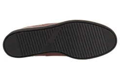 Women Softwalk Standard|Wide-Wildwood