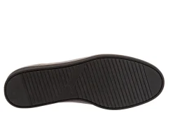 Women Softwalk Standard|Wide-Willis