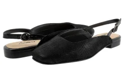 Women Trotters Standard|Wide-Holly